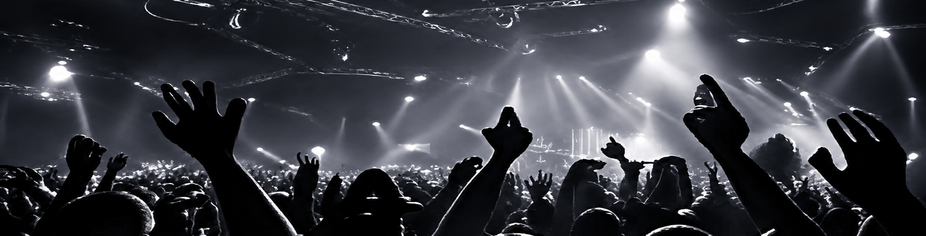 silhouette at the concert
